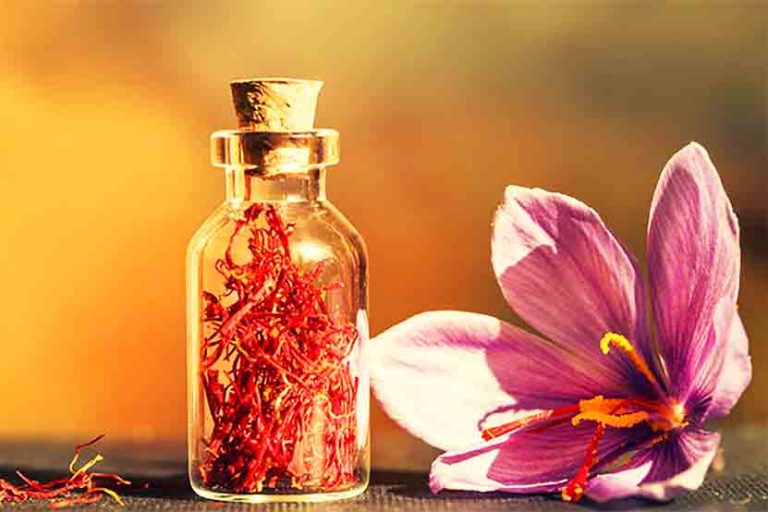 The History Of Saffron In Persia